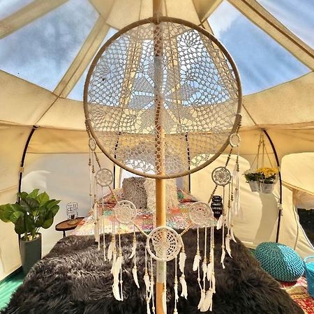 The Aries-A Stargazing, Luxury Glamping Tent Rogersville Eksteriør bilde