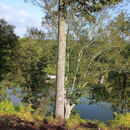 The Aries-A Stargazing, Luxury Glamping Tent Rogersville Eksteriør bilde