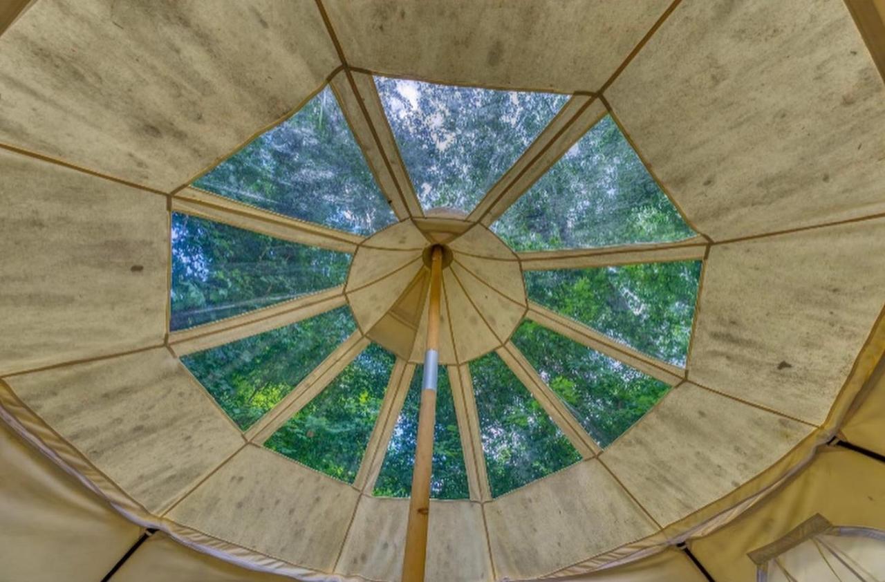The Aries-A Stargazing, Luxury Glamping Tent Rogersville Eksteriør bilde