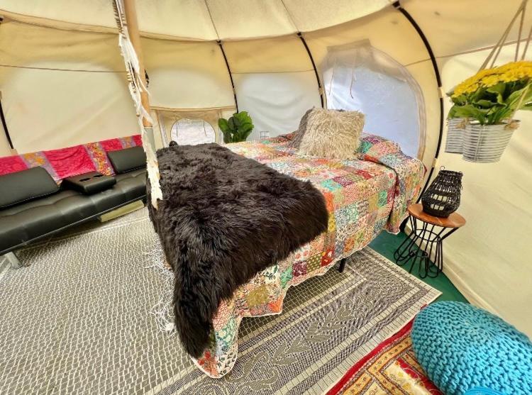 The Aries-A Stargazing, Luxury Glamping Tent Rogersville Eksteriør bilde